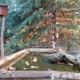 photo 2023-10-14 07-47-59