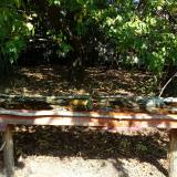 photo 2021-10-02 11-50-17