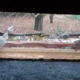 photo 2021-12-07 07-50-32