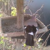 photo 2019-12-19 08-16-59