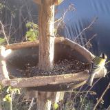 photo 2019-12-20 14-39-20