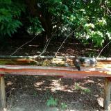 photo 2021-07-23 10-43-55