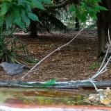 photo 2021-07-17 19-24-06rigok