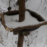 photo 2019-01-05 11-30-27