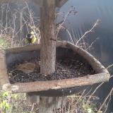 photo 2019-12-25 12-13-47