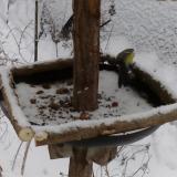 photo 2019-01-08 13-54-09