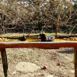 photo 2021-03-13 09-27-12