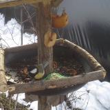 photo 2019-01-31 10-25-55