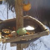 photo 2019-01-27 10-27-12