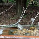 photo 2021-09-07 14-54-02 vbpsz