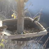 photo 2019-12-29 10-05-05