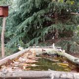 photo 2023-10-08 12-21-34