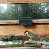 photo 2023-10-24 09-27-37