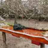 photo 2021-03-18 12-17-07