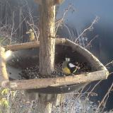 photo 2019-12-31 14-39-12