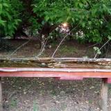 photo 2021-05-12 19-52-57