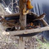 photo 2019-02-02 11-02-05