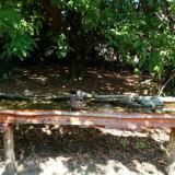 photo 2021-09-26 11-50-17