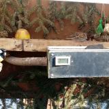 photo 2021-02-12 12-03-19