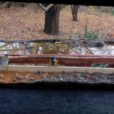 photo 2021-11-08 14-30-16