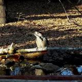 photo 2021-10-25 15-54-48 harkaly