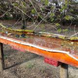 photo 2021-04-08 16-27-57