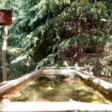 photo 2023-10-11 13-18-35