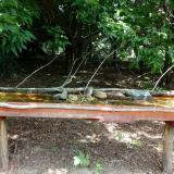 photo 2021-07-26 11-11-46