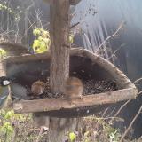 photo 2019-12-21 10-31-02