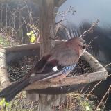 photo 2019-12-25 09-07-27