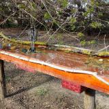 photo 2021-04-08 16-29-17