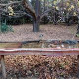 photo 2021-10-23 08-08-53