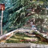 photo 2023-10-03 10-45-49