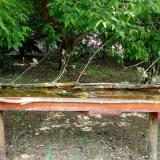 photo 2021-05-12 12-13-46