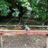 photo 2021-07-03 09-29-52