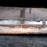 photo 2021-12-04 07-39-44