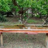 photo 2021-05-06 12-52-41