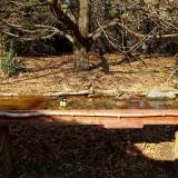 photo 2021-10-27 13-54-54