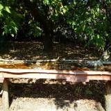 photo 2021-10-02 12-42-07