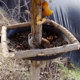 photo 2019-02-03 08-45-30