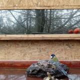 photo 2022-01-31 10-33-11