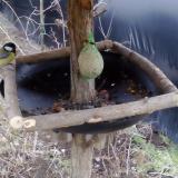 photo 2019-02-08 15-50-04