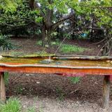 photo 2021-04-22 15-21-23