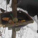 photo 2019-01-23 11-06-11