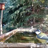 photo 2023-10-12 10-20-05