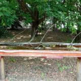 photo 2021-07-02 12-56-38