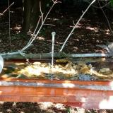 photo 2021-09-06 12-36-44-galambok