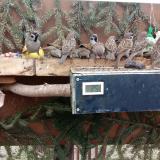 photo 2021-02-02 10-25-35