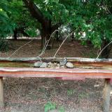 photo 2021-07-13 16-43-46