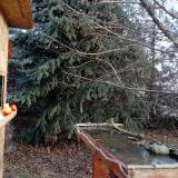 photo 2021-12-15 09-11-13